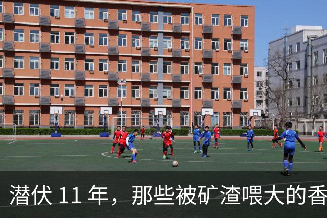 潜伏 11 年，那些被矿渣喂大的香蕉，终于开始向人类“复仇”了