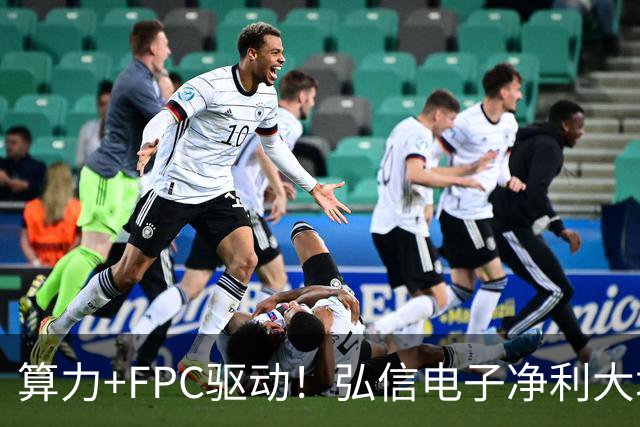 算力+FPC驱动！弘信电子净利大增139%，股价较年内高点回撤超40%