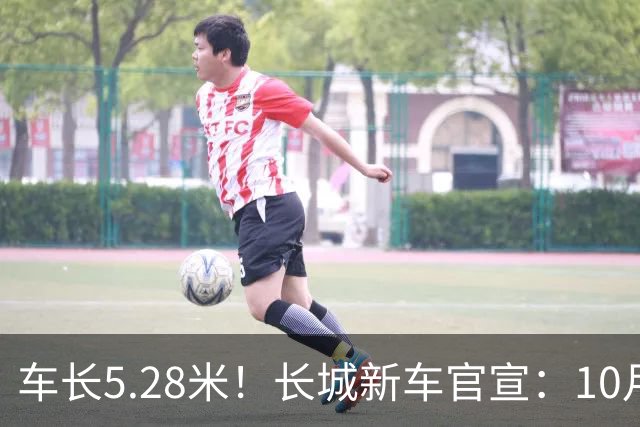 车长5.28米！长城新车官宣：10月19日开启预售